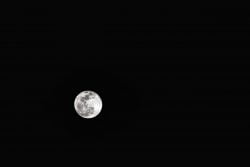 abby castrillo 206554 abby castrillo 206554